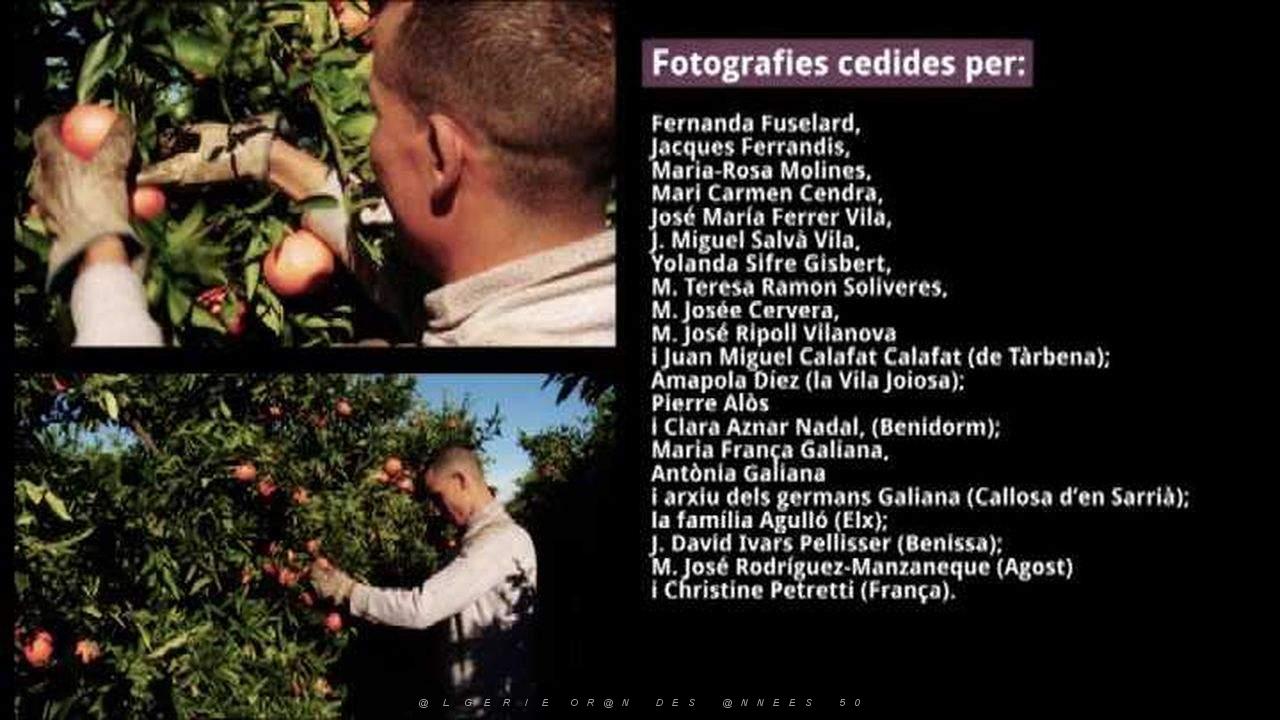 VALENCIENS EN ALGERIE 015.JPG